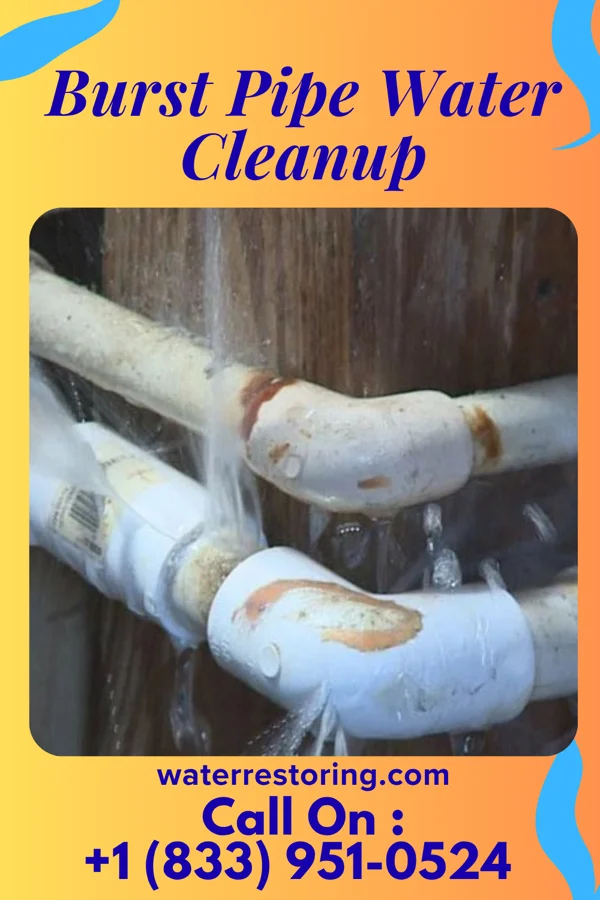 Burst Pipe Water Cleanup in Payson, IL