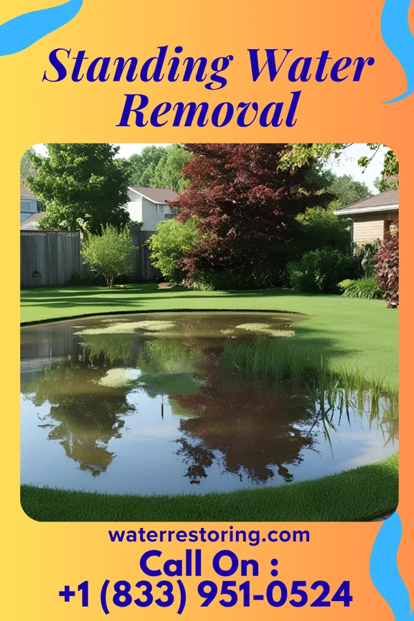 Standing Water Removal in Payson, IL